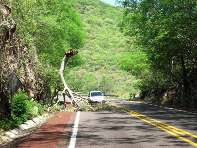  Que Protección Civil revise urgentemente áreas de alto riesgo
CAPUFE-BANOBRAS debe prevenir derrumbes en autopista a Iguala.