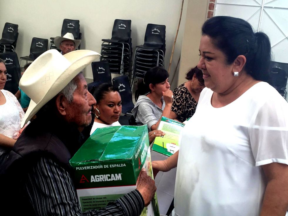 Entregó la diputada Flor Añorve Ocampo herramientas e insumos a campesinos de los municipios de Pilcaya, Tetipac, y Taxco