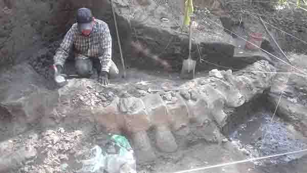 Encuentran fósil gigante en Costa Chica 