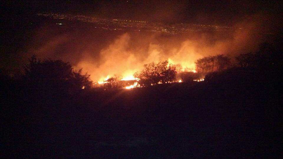 Incendio consume 300 hectáreas de bosque en Coatlinchan, Texcoco; 200 personas laboran en el lugar 