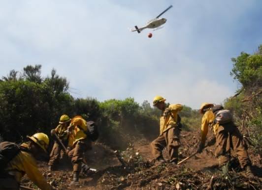 Controlan al 100 por ciento incendio forestal en zona alta de Texcoco