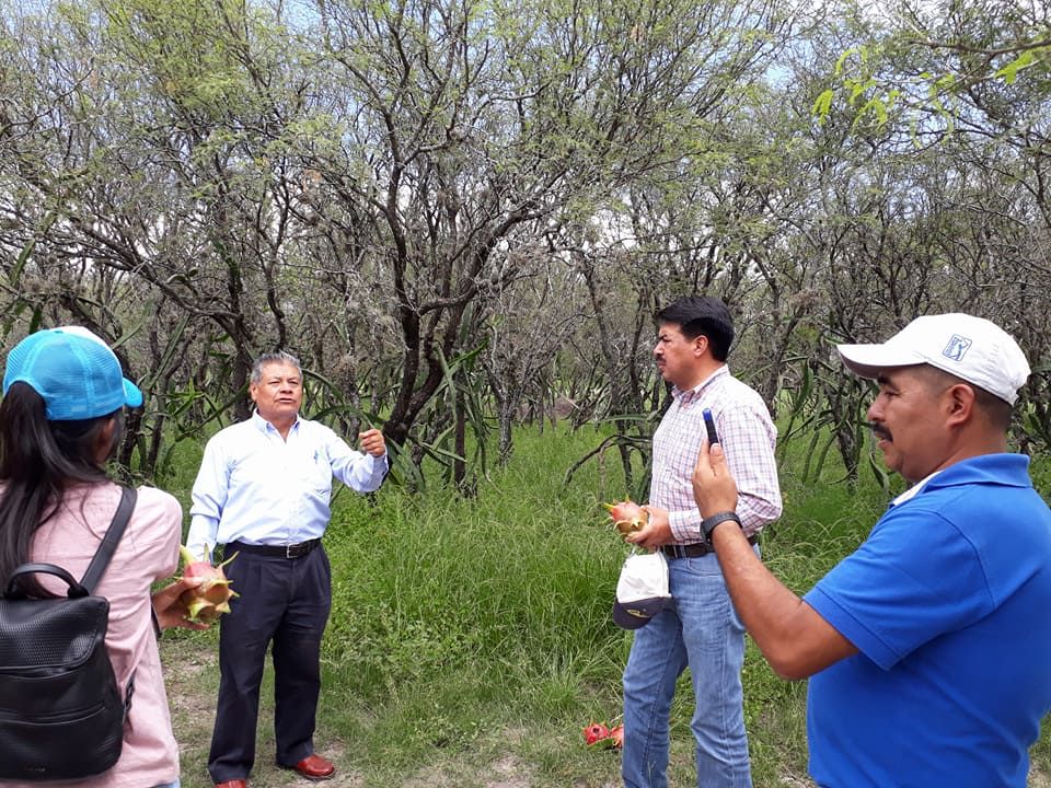 Avanzan proyectos productivos del doctor Raúl Nieto en Puebla
