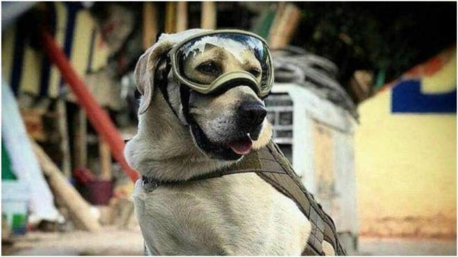 El #TodosSomosFrida arrasa en Twitter