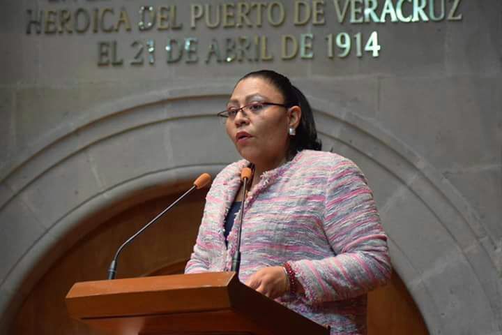 Diputada de Morena pide eliminar tenencia vehícular en Edomex