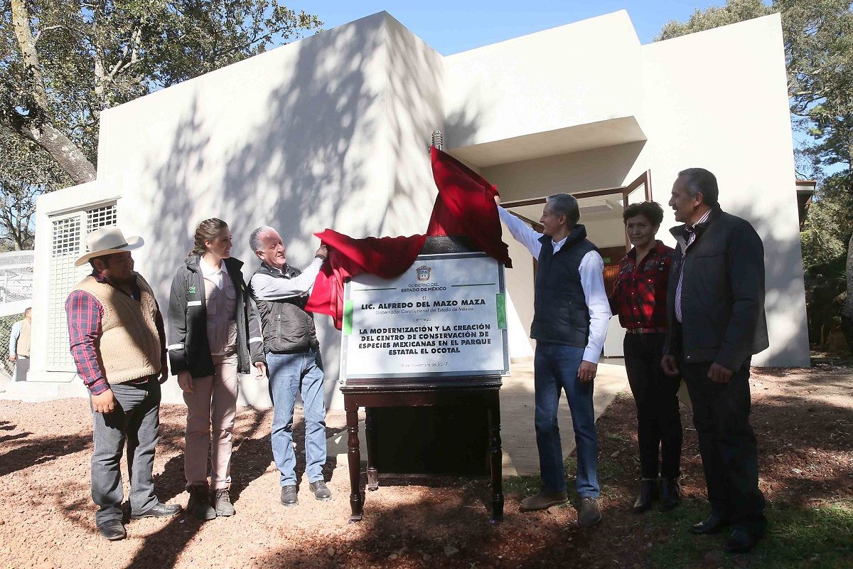 Inaugura  Alfredo Del Mazo trabajos de modernización del Parque  el Ocotal y el Centro  de Conservación  de Especies Mexicanas 