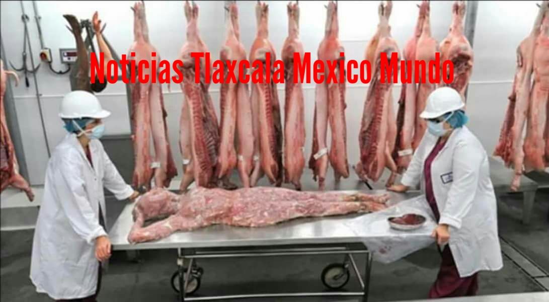 ABREN EL PRIMER RESTAURANTE DE CARNE HUMANA EN TOKIO..