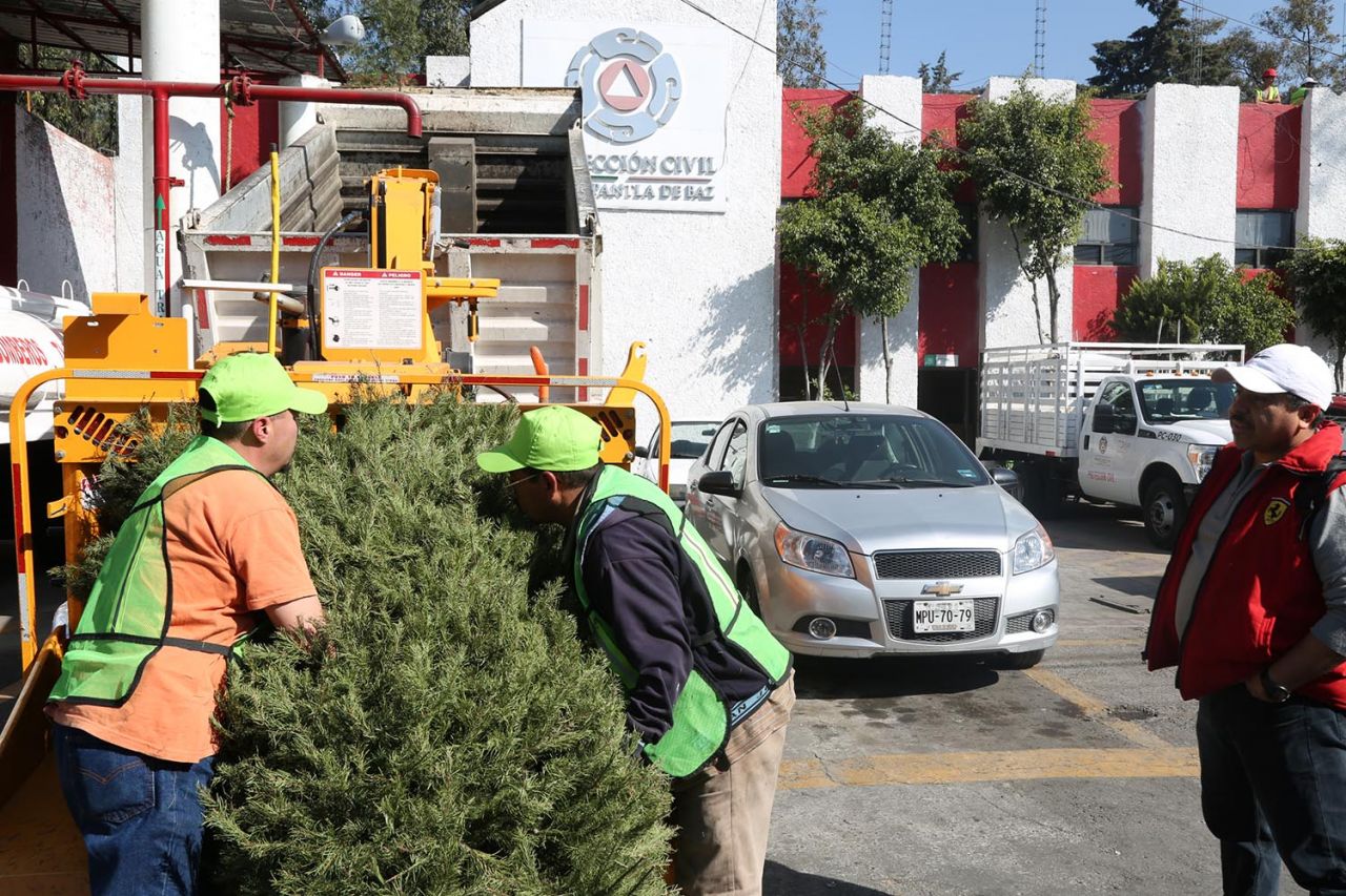 Inicia Tlalnepantla campaña de reciclaje de árboles navideños