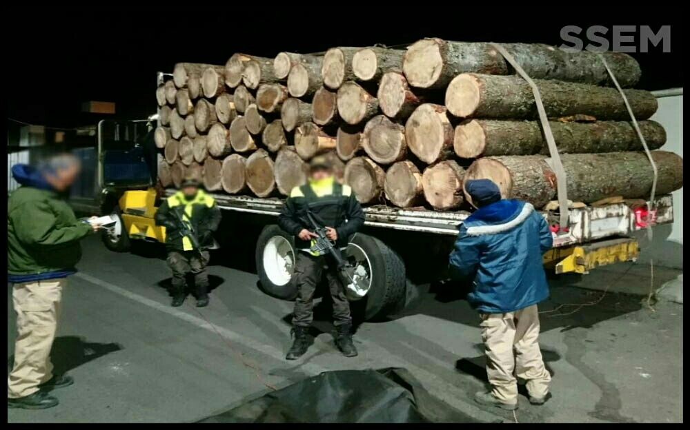 Aseguran  un camión que transportaba madera, aparentemente de procedencia ilegal