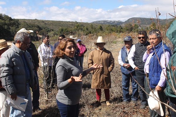 Celebran agrónomos su Día con intercambio de experiencias, en Ejutla de Crespo, Oaxaca