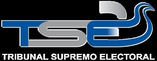 Tribunal Supremo Electoral ha procesado el 70% de las actas