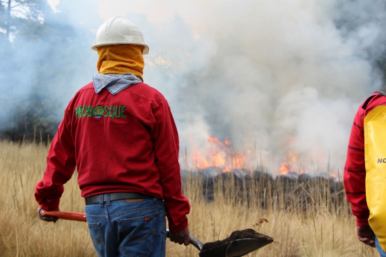 Edoméx entre los cinco estados en detectar y atender con mayor rapidez incendios forestales