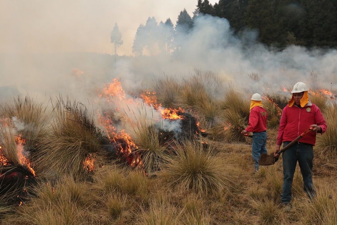 PROBOSQUE inicia operativo de semana santa contra incendios forestales
