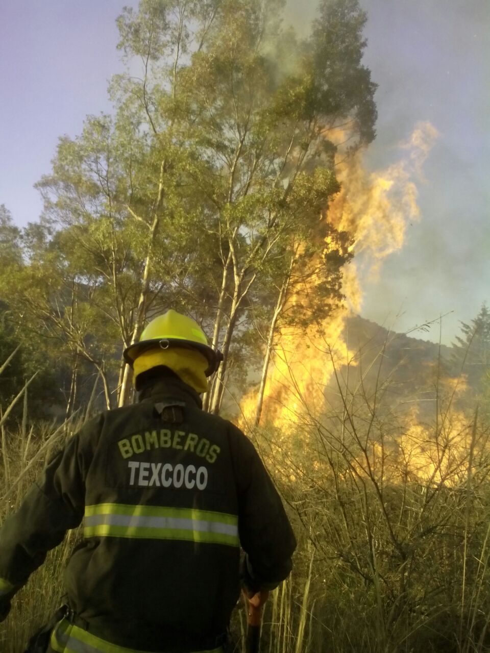 Por segundo día consecutivo se registran incendios forestales en zona alta de Texcoco 