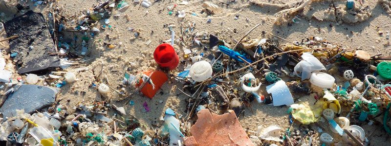 Plásticos, la gran amenaza para los mares