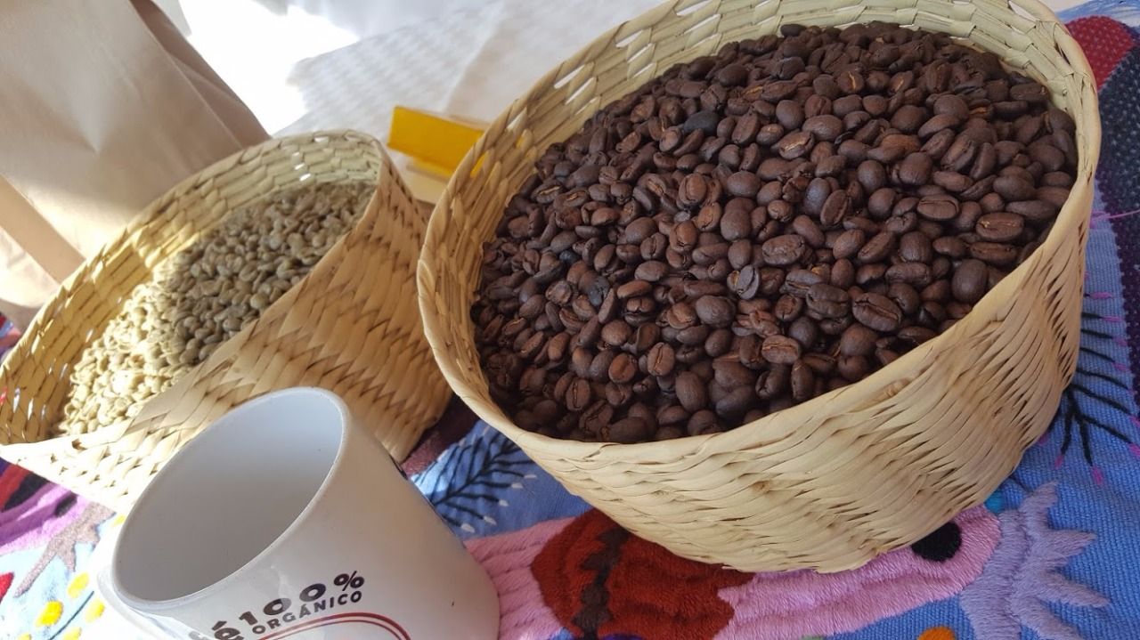 ORGANIZA SEDAGRO PRIMER FORO CAFÉ EN TERRITORIO MEXIQUENSE
