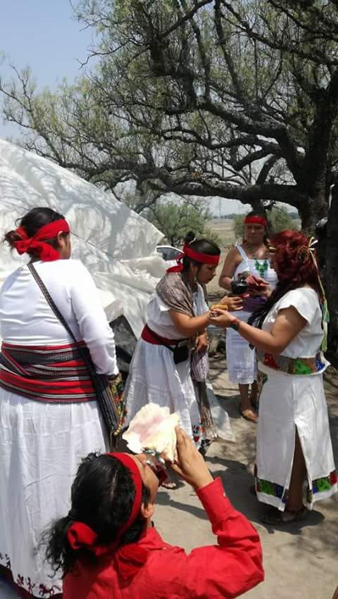 Preservan temazcales en Centro Ceremonial ’Cerro de Tepetzinco’, en Nexquipayac, Atenco