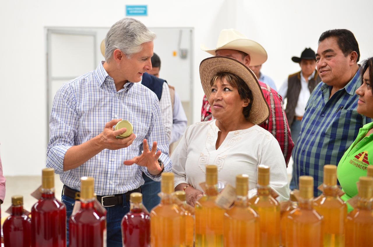 Visita gobernador centro de acopio para fortalecer la producción y comercialización de nopal mexiquense