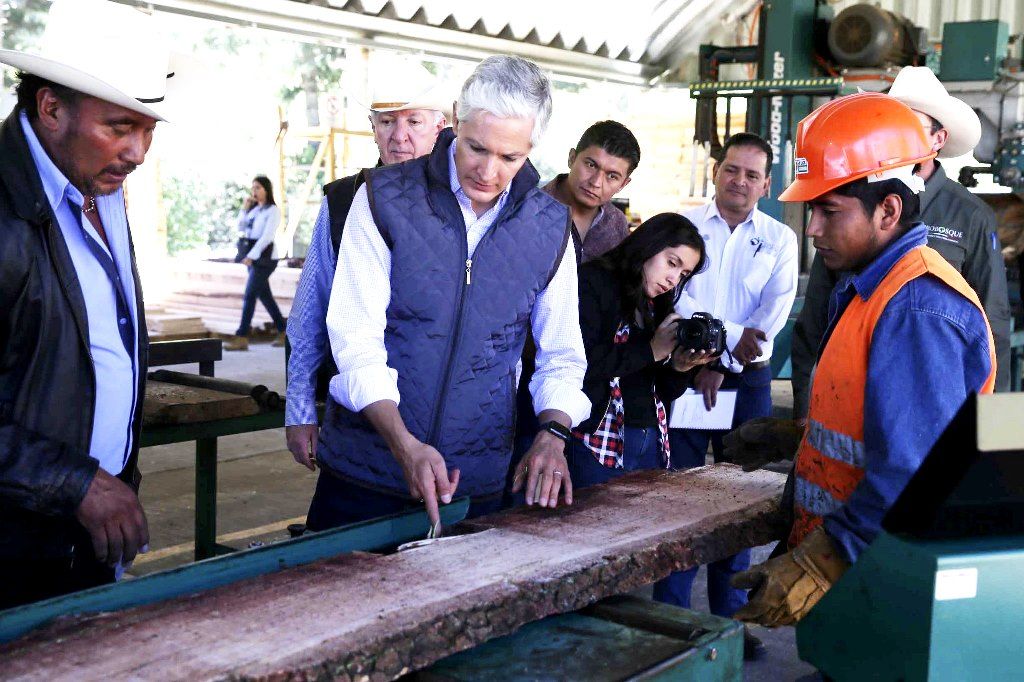 Gira de trabajo del gobernador en municipios con producción forestal y maderera