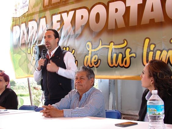 Productores De Tejocote van por plantaciones intensivas de tejocote en Puebla