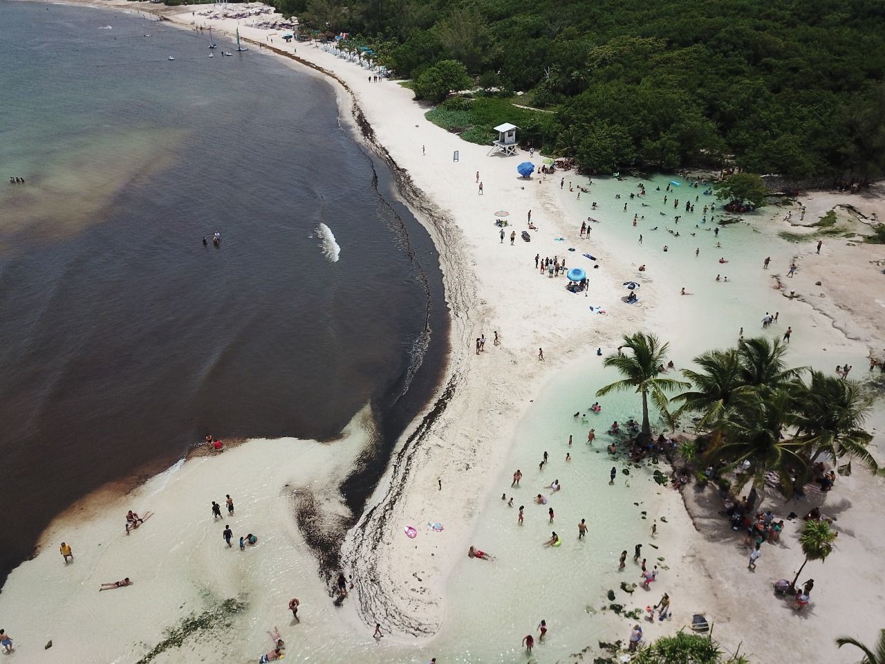 Punta Esmeralda, el oasis del Caribe mexicano que mejor libra el sargazo