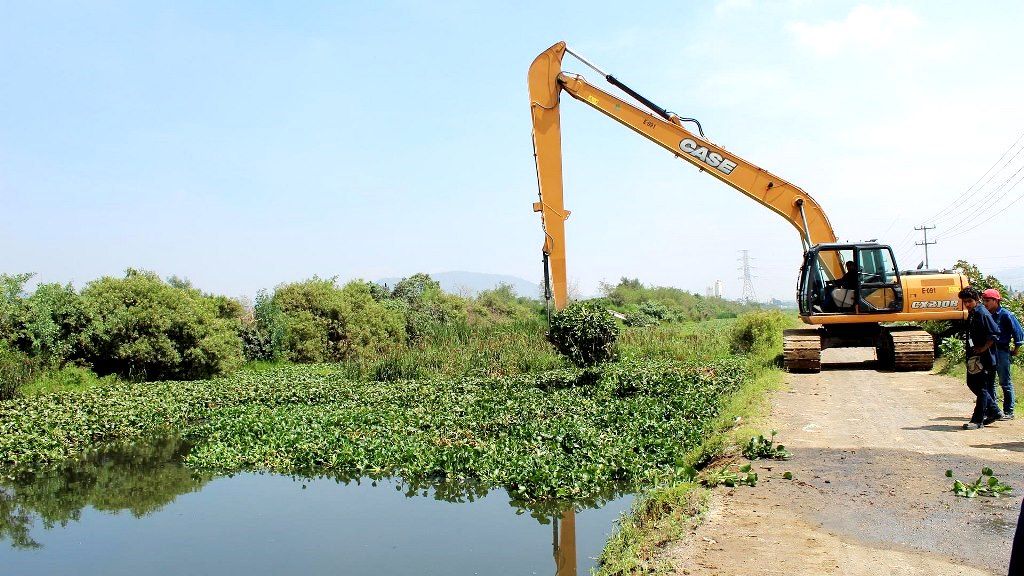 Retira CAEM 280 toneladas de lirio acuático del canal general de Valle de Chalco