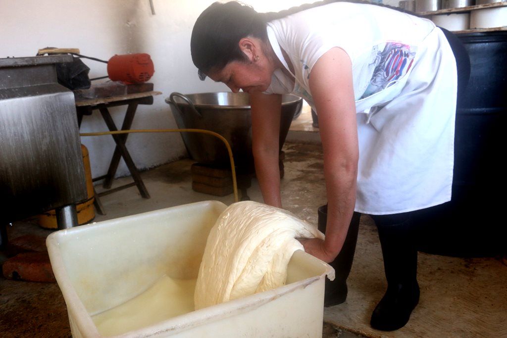 Produce empresa familiar queso de forma artesanal en Aculco
