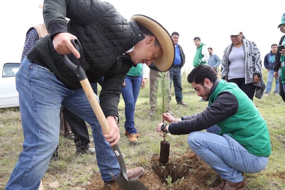 Partido Verde emprende jornadas de reforestación en Texcoco