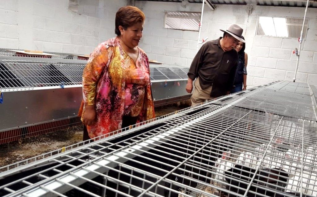 Promueve gobierno del Edoméx consumo de carne de conejo con apoyos a la cunicultura mexiquense