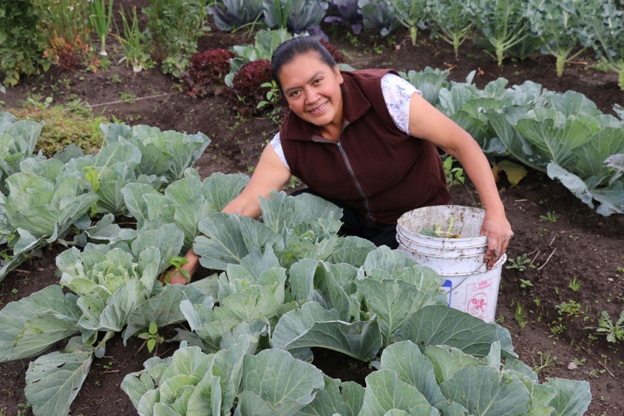  Brinda SEDAGRO apoyos alimenticios para mexiquenses de zonas rurales