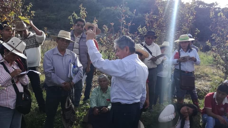 Realiza el doctor Raúl Nieto curso de poda en la Mixteca oaxaqueña