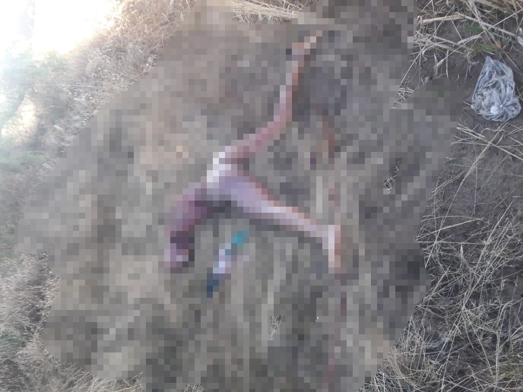 Hallan cuerpo de mujer carcomido por animales en Ixtapaluca 