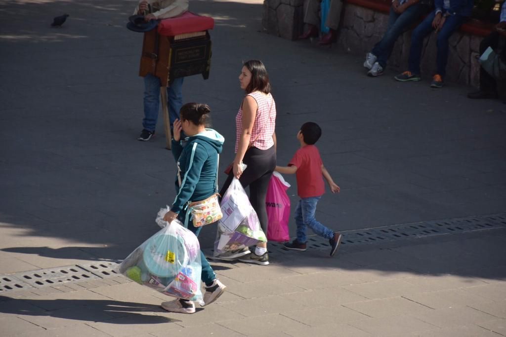 Tlalnepantla prohibe la utilización de bolsas de plástico.


