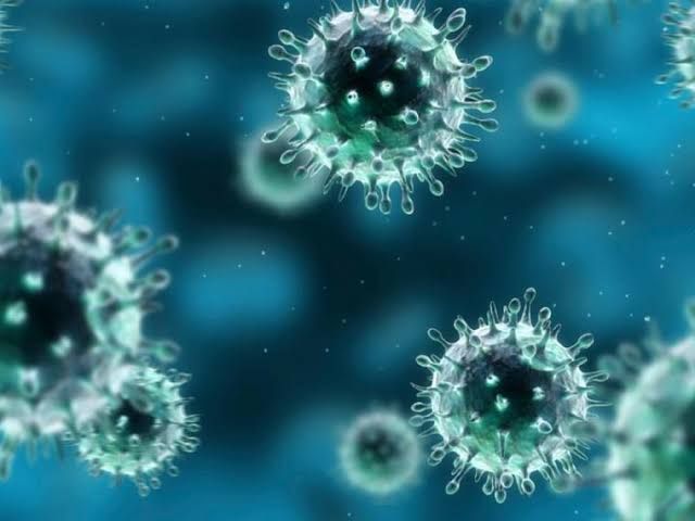 Virus son responsables del 20 por ciento de los cánceres