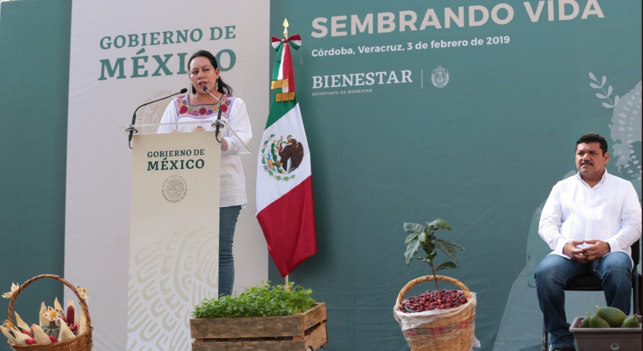 Sembrando Vida busca reestructurar el tejido social en comunidades marginadas de México: Marías Luisa Albores González