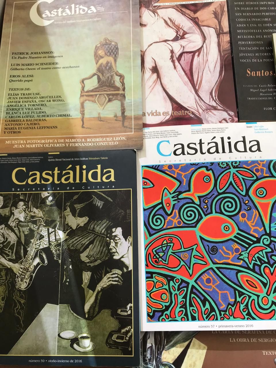 Emiten convocatoria para colaborar en la revista "Castalida"