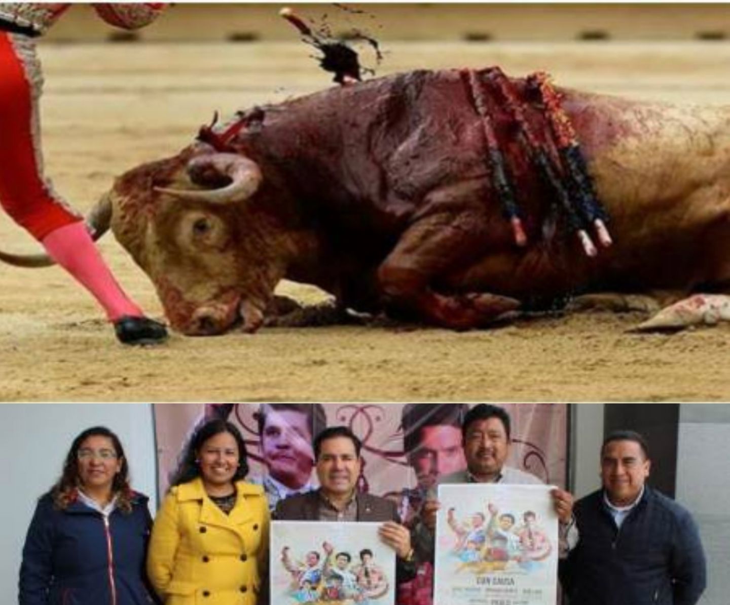 Torturarán toros para dar dinero a familiares de quienes perecieron por robar un ducto en Tlahuelilpan 