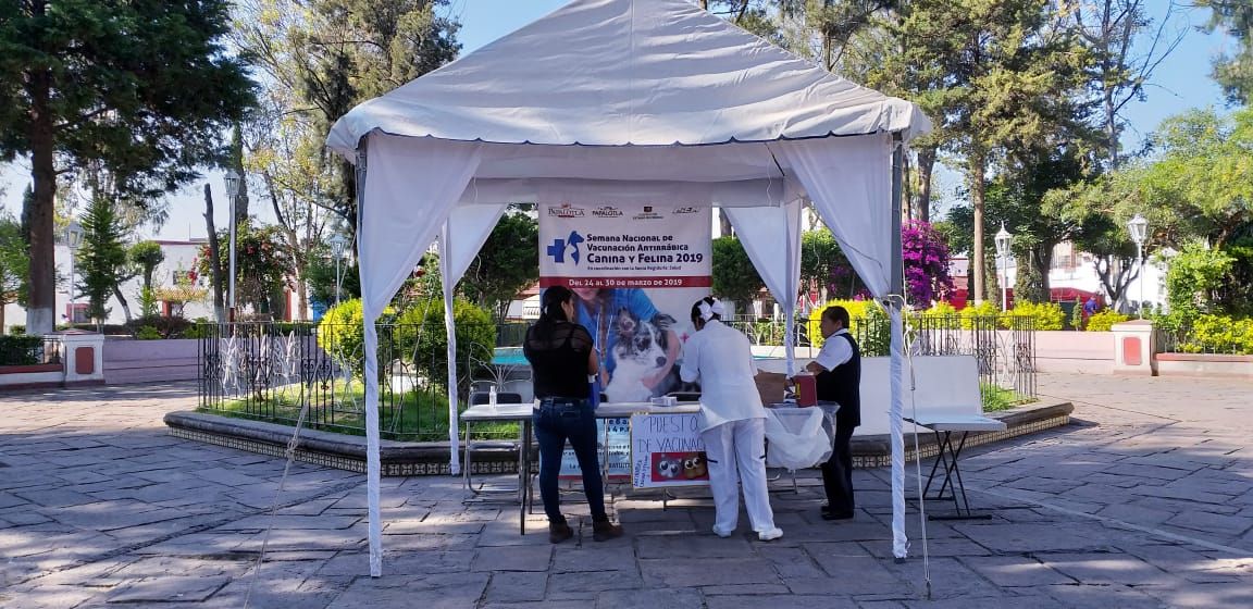 Inicia campaña de vacunación antirrábica, en el  municipio de Papalotla.