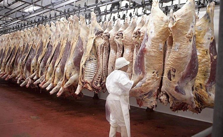 En 2019 precios de la carne bovina mejorarían en el mercado internacional