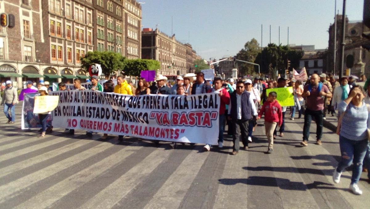Alto a la tala clandestina en Ocuilan, Estado de México piden al presidente Andrés Manuel López Obrador