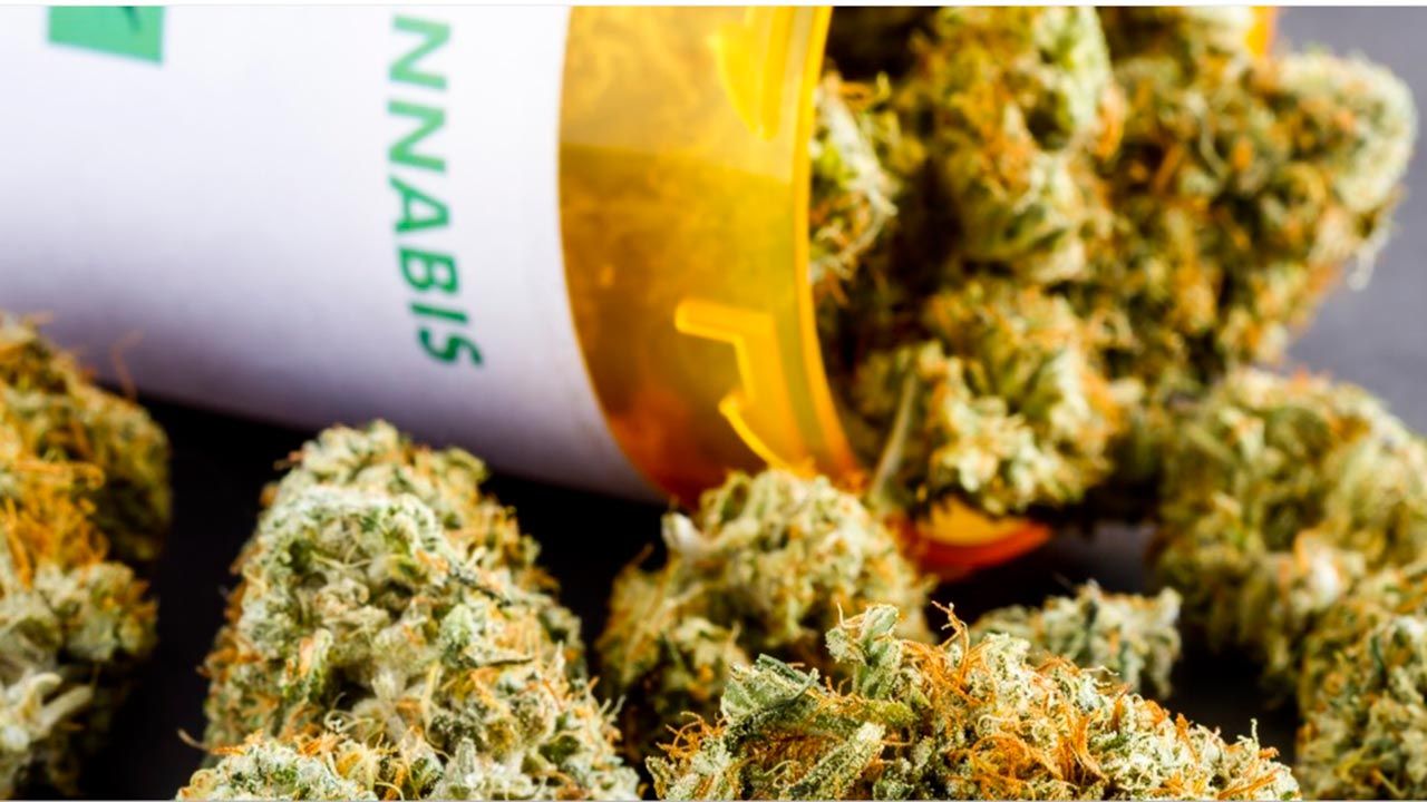 Echan para atrás venta de cannabis medicinal y sus derivados