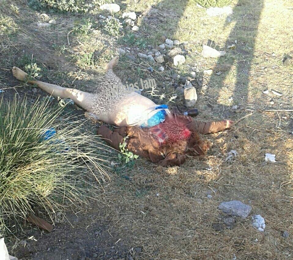 Semidesnuda y con el rostro desollado fue hallado el cuerpo sin vida de una mujer en un terreno en el municipio de Chiconcuac.