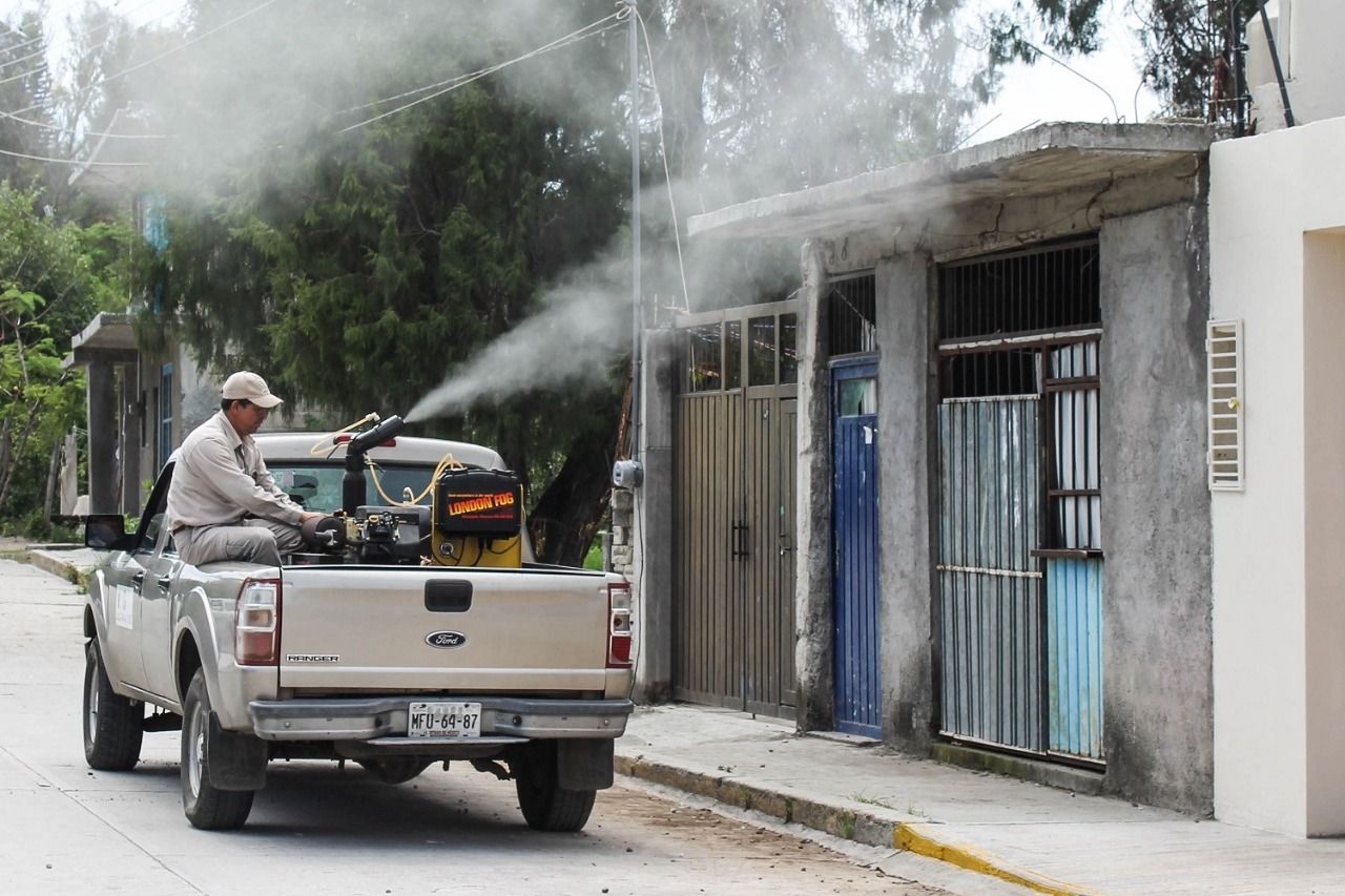 Recomendaciones para prevenir el Dengue, Zika y Chiconguña 