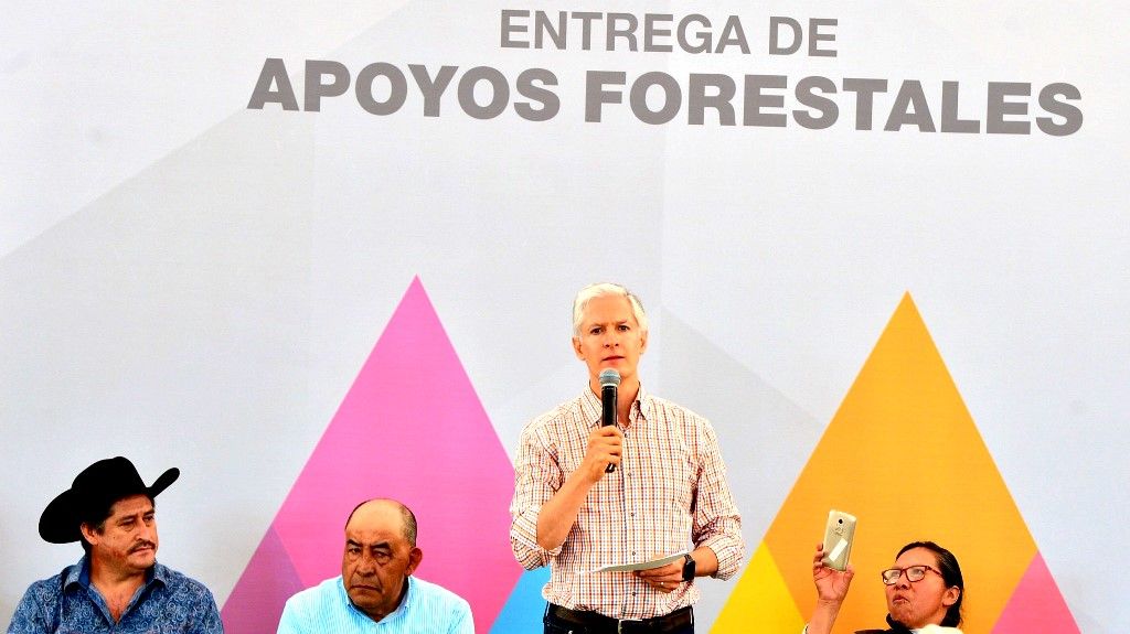 Alfredo del Mazo entrega apoyos para preservar y hacer crecer las zonas forestales del Edoméx