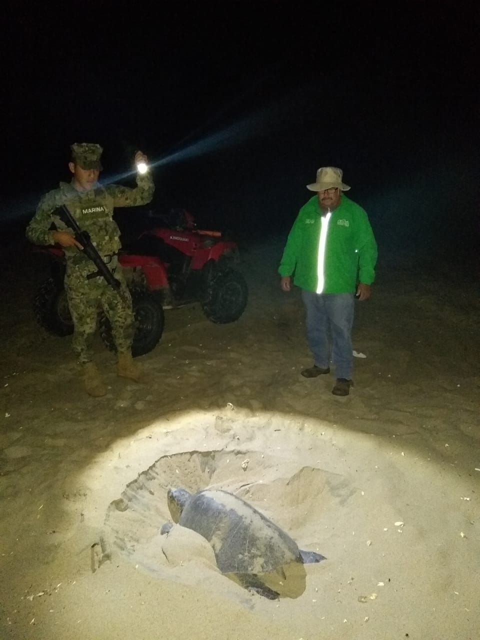 Personal de la Armada de México Mantiene Vigilancia Permanente para la Preservación de La Tortuga Golfina en Costas de Oaxaca