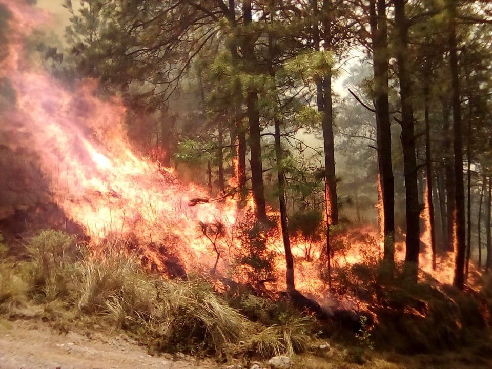 Combaten Incendio en el monté Tláloc, se cree que es provocado  