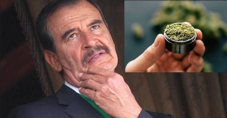 Empresa ligada a Fox busca que 11 millones de mexicanos gasten 20 mil anuales en marihuana medicinal