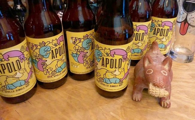 Venta de cerveza artesanal mexicana ayuda a perritos de la calle