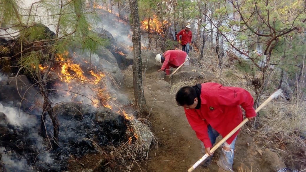 Controlan incendio forestal en Valle de Bravo.