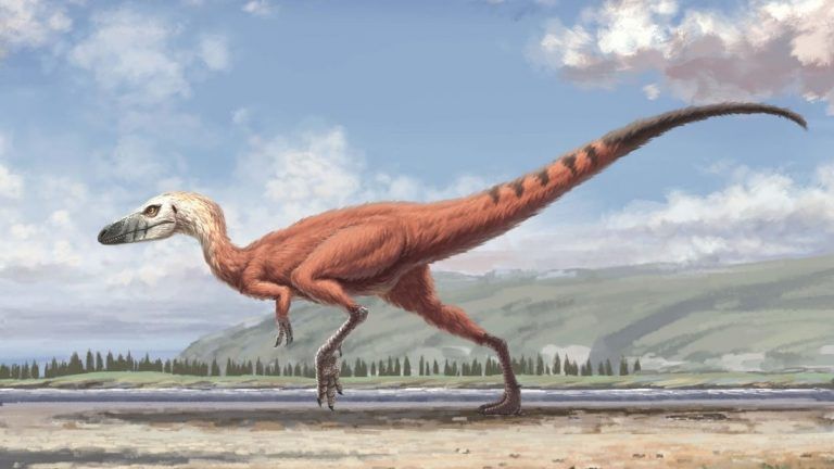 Hallan pariente diminuto del Tiranosaurio Rex
