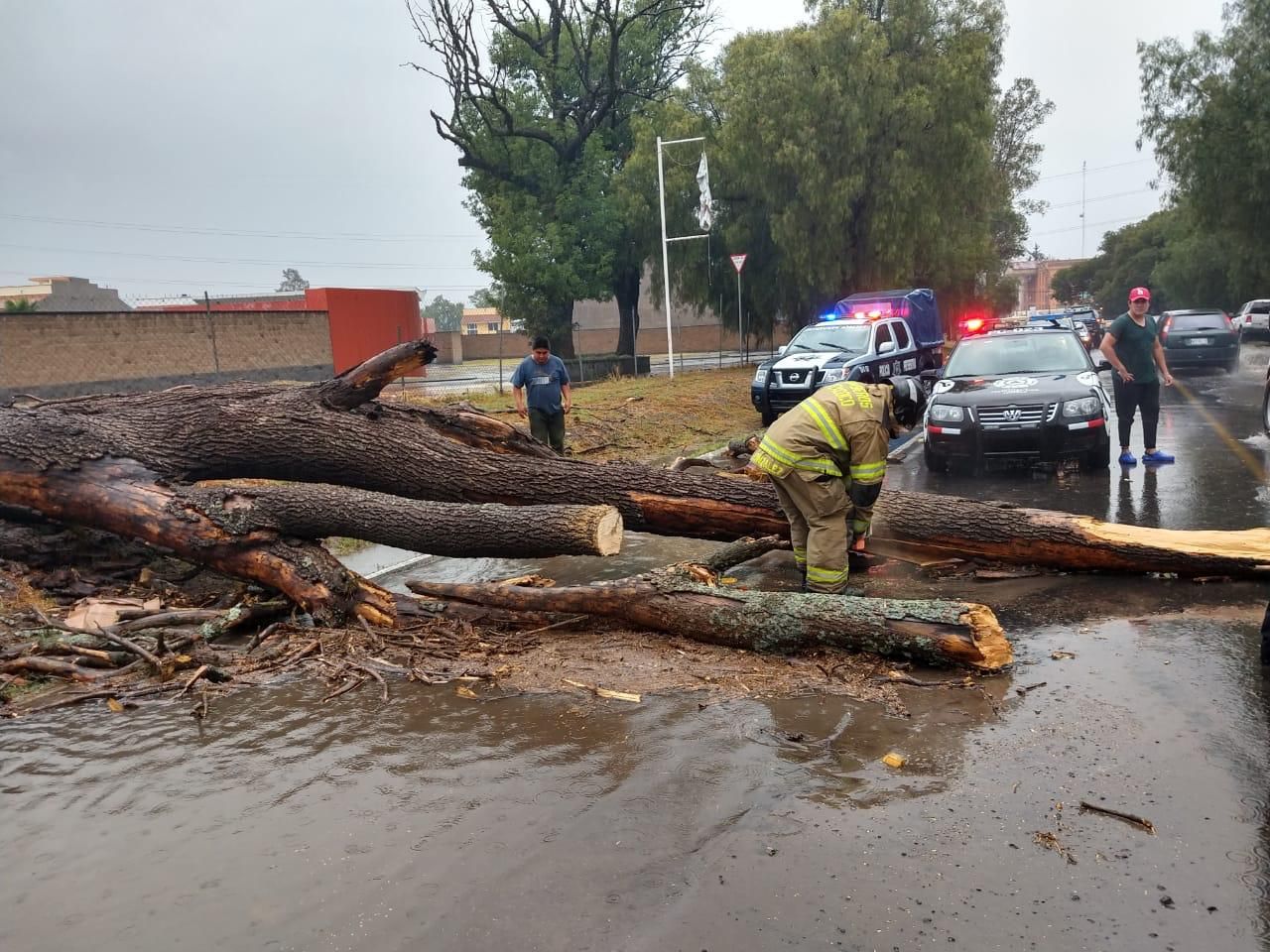 Fuerte lluvia provoca caída de árboles y encharcamientos en Texcoco